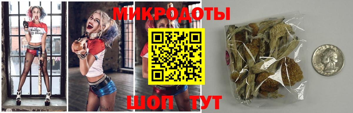 Галлюциногенные грибы MAGIC MUSHROOMS  Вход с VPN  Магнитогорск 